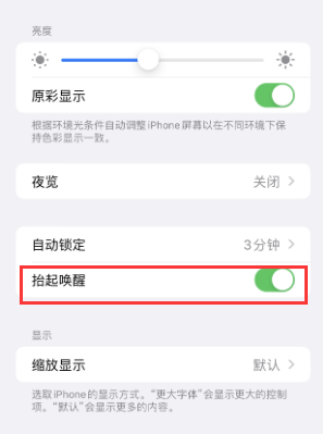 新泰苹果授权维修站分享iPhone轻点无法唤醒怎么办