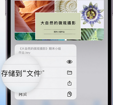 新泰apple维修中心分享iPhone文件应用中存储和找到下载文件