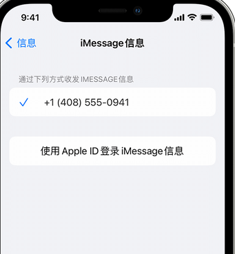 新泰apple维修iPhone上无法正常发送iMessage信息 