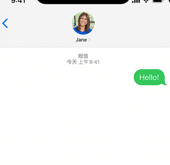 新泰apple维修iPhone上无法正常发送iMessage信息