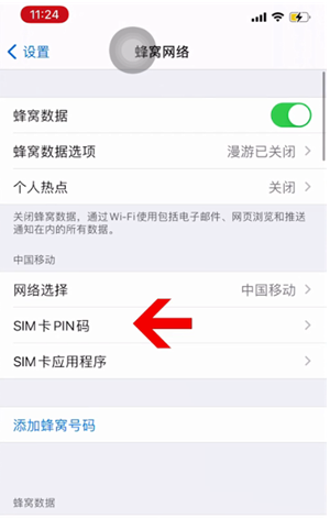 新泰苹果14维修网分享如何给iPhone14的SIM卡设置密码 