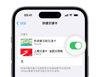 新泰apple维修点分享iPhone上更换Apple Pay快捷交通卡手绘卡面 