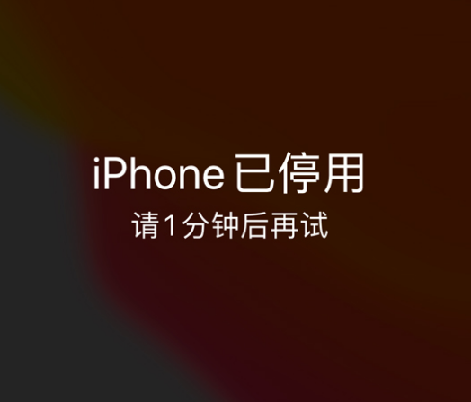 新泰苹果手机维修分享:iPhone 显示“不可用”或“已停用”怎么办？还能保留数据吗？ 