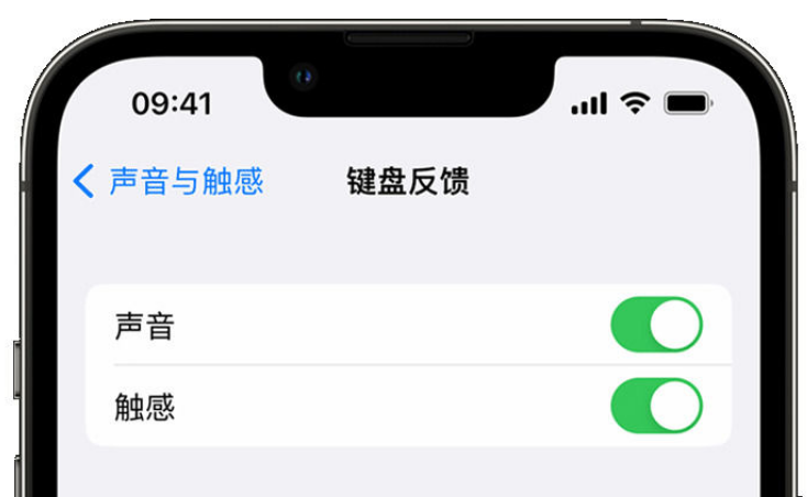 新泰苹果手机维修分享iPhone 14触感键盘使用方法 