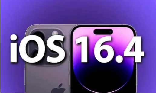 新泰苹果14维修分享：iPhone14可以升级iOS16.4beta2吗？ 