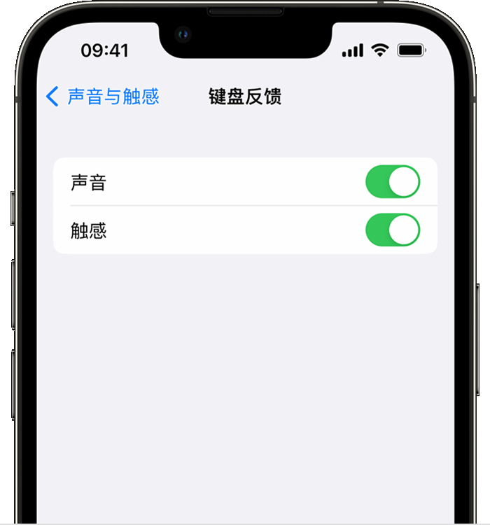 新泰苹果14维修店分享如何在 iPhone 14 机型中使用触感键盘 