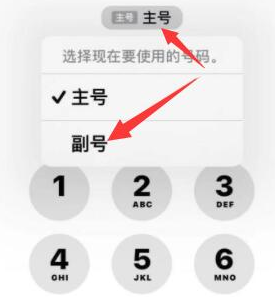 新泰苹果14维修店分享iPhone 14 Pro Max使用副卡打电话的方法 