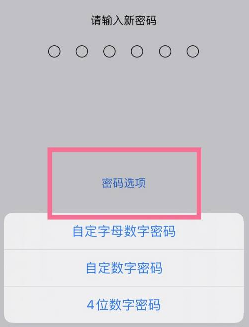 新泰苹果14维修分享iPhone 14plus设置密码的方法 