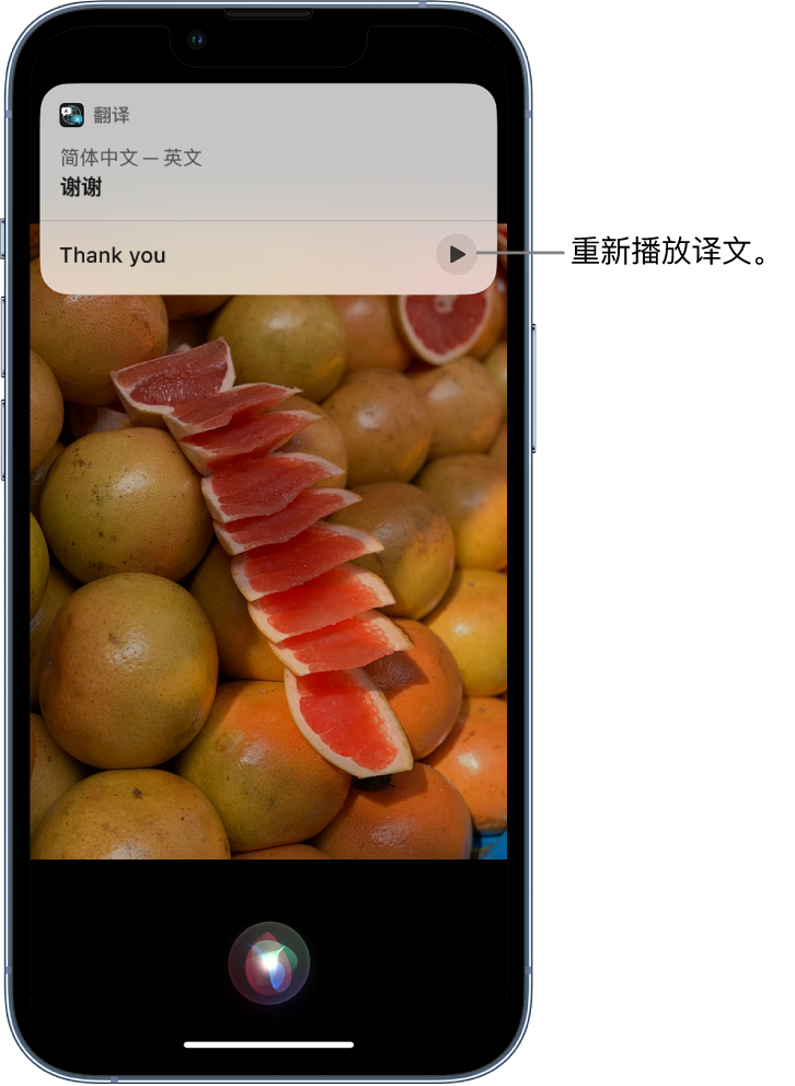 新泰苹果14维修分享 iPhone 14 机型中使用 Siri：了解 Siri 能帮你做什么 