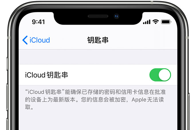 新泰苹果手机维修分享在 iPhone 上开启 iCloud 钥匙串之后会储存哪些信息 