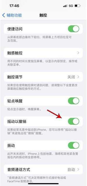 新泰苹果手机维修分享iPhone手机如何设置摇一摇删除文字 